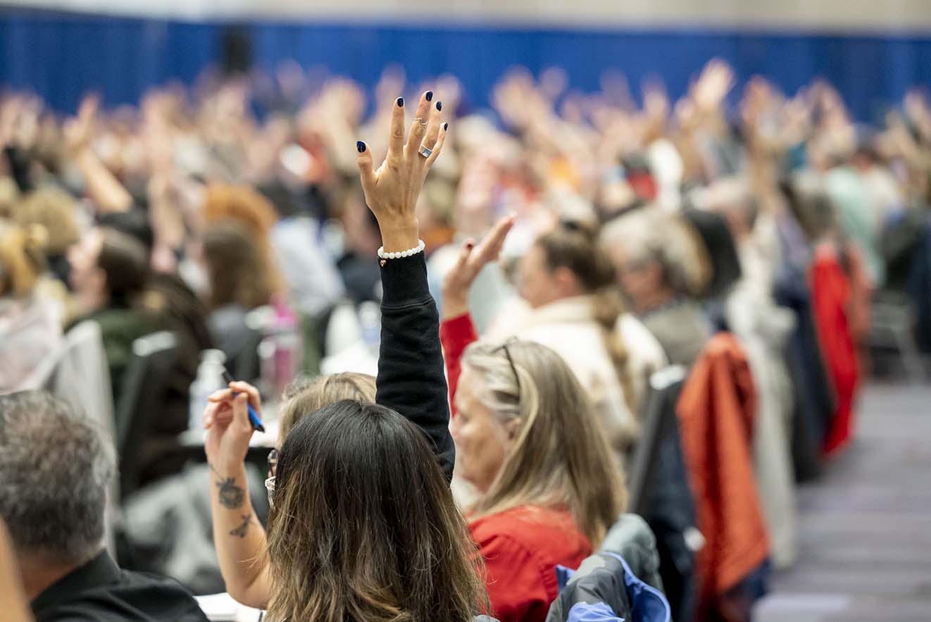 Floor of convention, and a delegate raising a hand